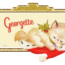 NL 201 - Noël, blinkie,gif animé,dodo, repos, signature, chat