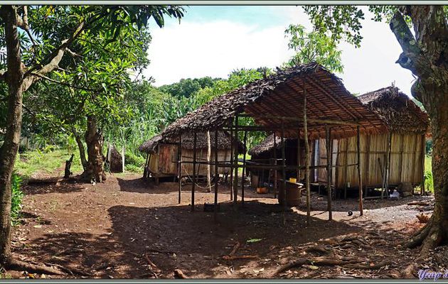 Dans la "banlieue" d'Antanabe (Antanambe) - Nosy Sakatia - Madagascar