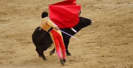 J'ai testé pour vous : une corrida à Madrid