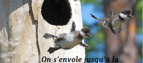 Bon jeudi à tous