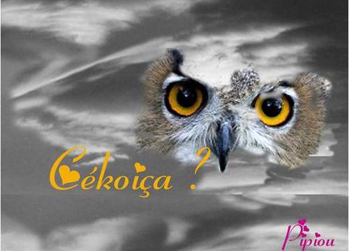 Une petite question :  cékoiça ?
