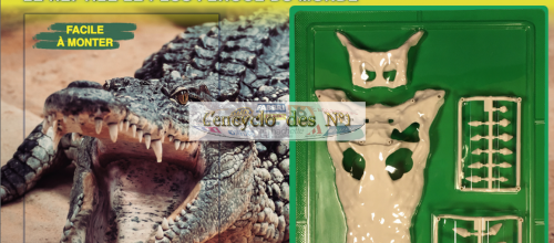 N° 1 Monte pas à pas ton crocodile - Test 