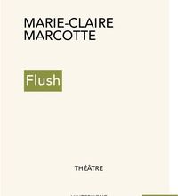 Livres Android téléchargement gratuit pdf Flush (French Edition)