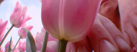 PIPILOTTI RIST