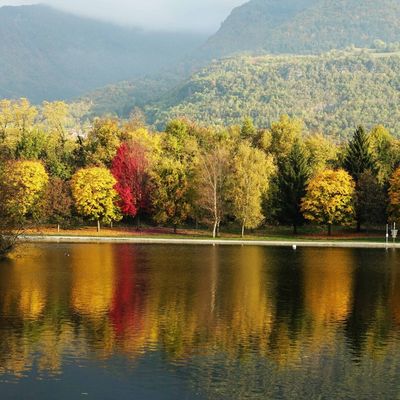 Chanson d'automne au lac de Carouge