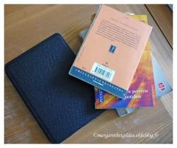 Lecteur et liseur 