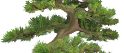 ѼVegetation