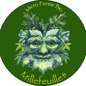 Millefeuilles