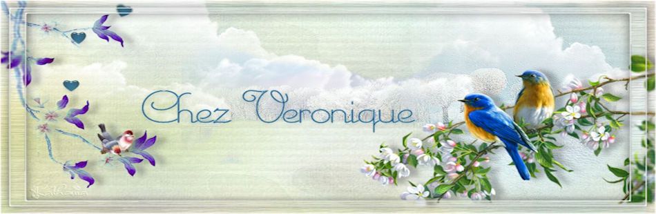 Header cover