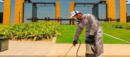تجربتي مع شركة مكافحة الحشرات 0538078147 