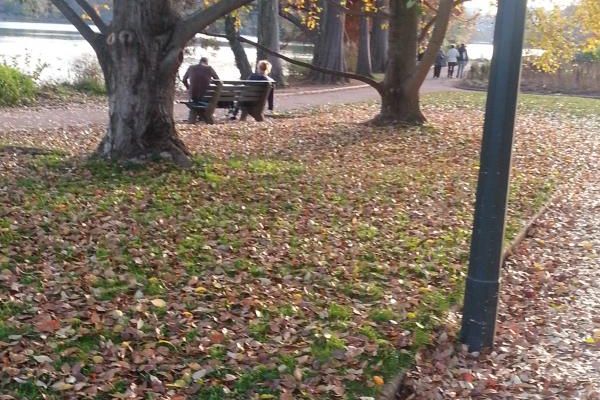 SORTIE DU MARDI - suite