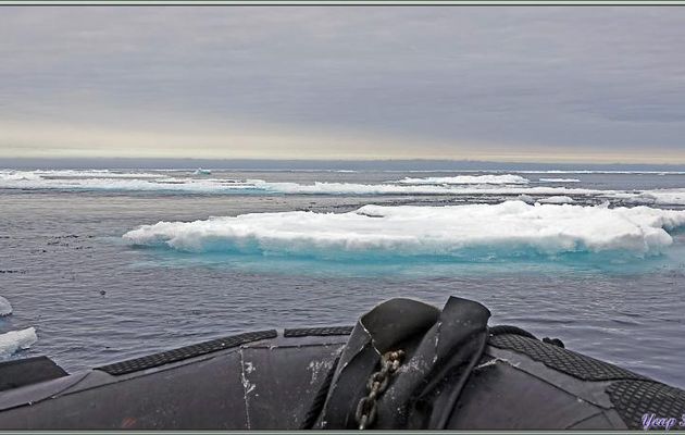 Vers 17 h 30, annonce au micro pour une surprise non prévue au programme : balade en Zodiac et débarquement sur de la banquise ! - Région des Sjuøyane (Sept îles) - Svalbard - Norvège
