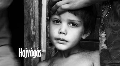 Hajvágás / Haircut. 2013. FULL-HD.