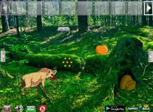Escape from hyena forest soluce