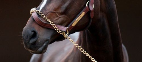 CHEVAL