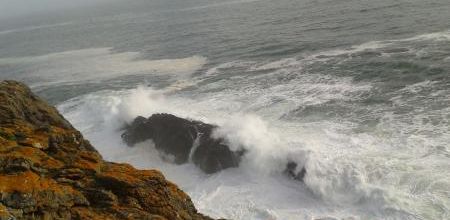 Oublier Klara, Isabelle Autissier (Stock)