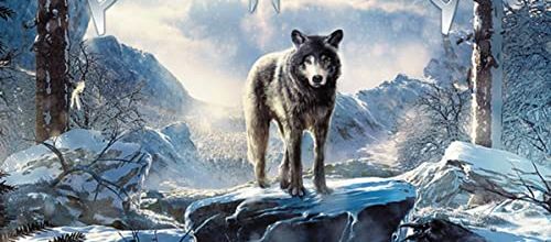Sonata Arctica : Pariah's Child (2014)