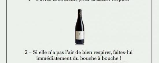 Le secret pour apprécier un bon vin