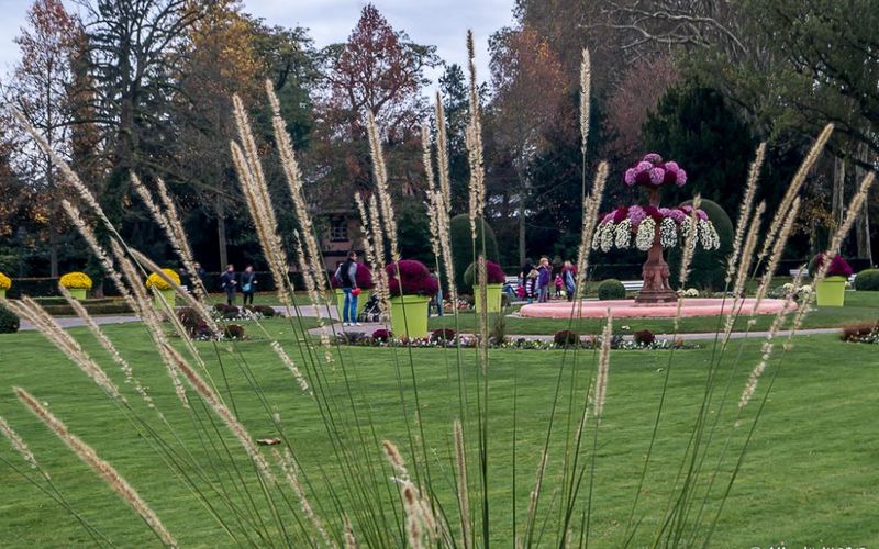 Automne strasbourgeois - 2 -