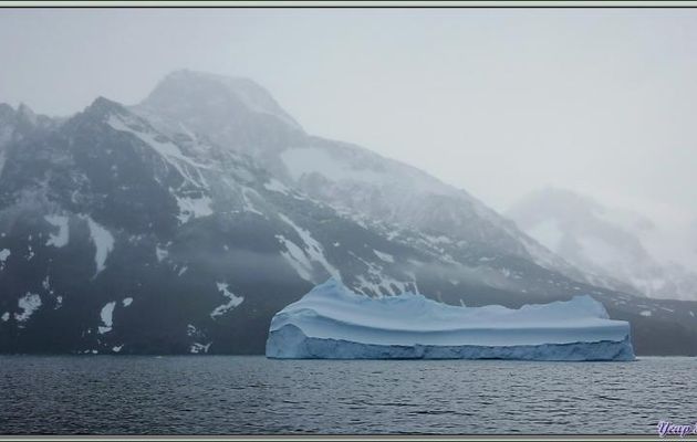 Iceberg - Fjord Drygalski - Géorgie du Sud