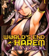 Free books download World's End Harem: Fantasia Vol. 1  9781947804630 by LINK, SAVAN