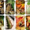 Automne ! Cartonnettes 2017