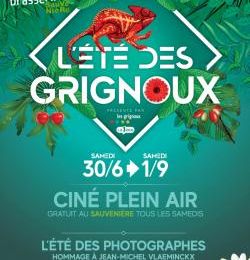 Bruxelles et Liège : du cinéma en plein air