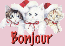 "Miaou" Noël