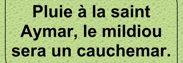 Dicton du 29 mai