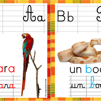 Abécédaire des animaux d'Amazonie