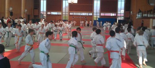 Mois de Mars: de bons résultats aux Judo Club.