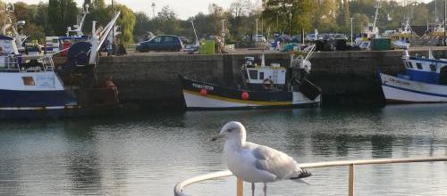 Honfleur