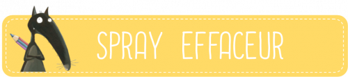 Spray effaceur