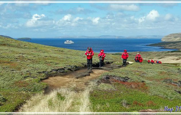 C'est parti pour traverser l'île et rejoindre les falaises où vit la colonie d'otaries à fourrure - Ship Harbour - New Island - Falkland (Malouines, Malvinas) - Grande-Bretagne