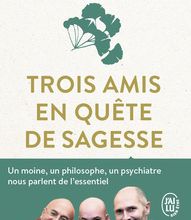 Téléchargements de manuels scolaires pdf Trois amis en quête de sagesse  - Un moine, un philosophe, un psychiatre nous parlent de l'essentiel