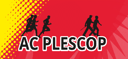 Essayages nouveaux maillots de l'AC Plescop