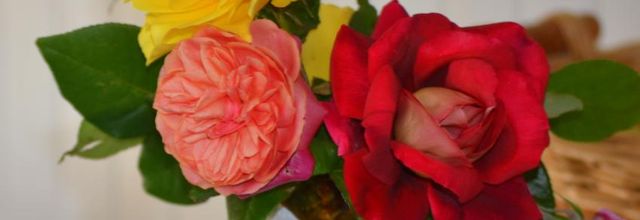  Des fleurs 