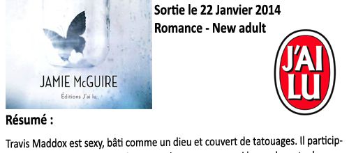 Beautiful Disaster, Jamie McGuire