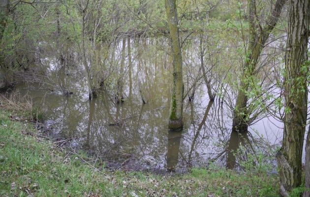 QUAND  ON  SE  PROMENE  AU  BORD  DE  L'EAU