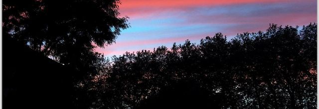 85 . Vendée - La Chaize le Vicomte (17) - Ciel