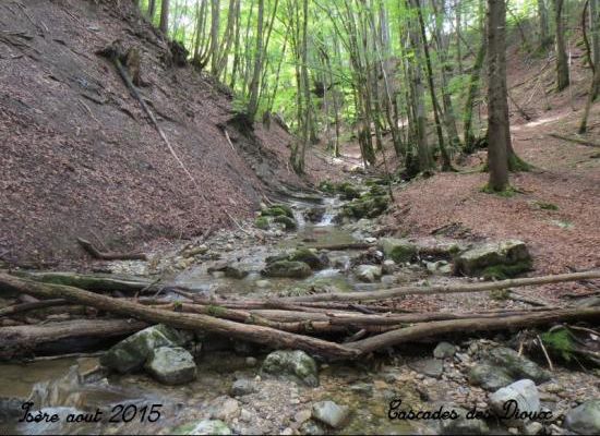 Voyages Isère aout 2015 Cascades et Forêt des Dioux