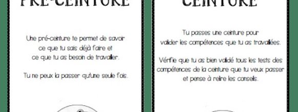 Des cartes pour la distribution des ceintures et des pré-ceintures PIDAPI