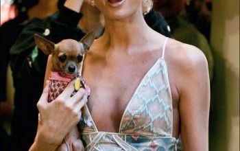 mode fashion paris hilton