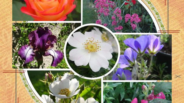 Ma Mère me Mène au Jardin