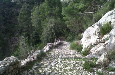 chemin de rando  