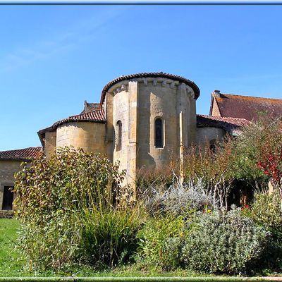 1040 - Pimbo dans les Landes (40)