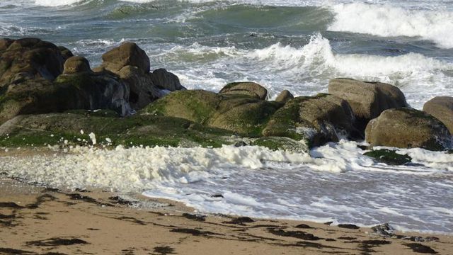 L'hiver est de retour, jeux d'eau sur le rivage