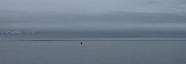 En mer ...