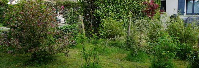 Le fond du jardin