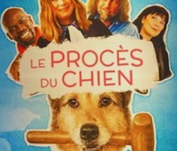 CINEMA / NOVEMBRE 2024 - CINÉCHANGE et CINÉ DU COIN